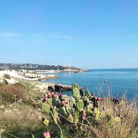 Il Terrazzino - Localita' - Salento Ferienhaus Salve